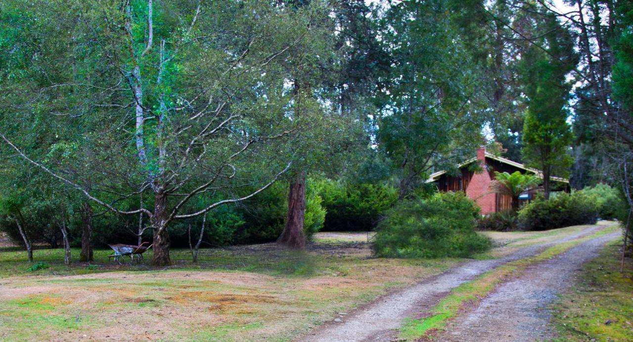 泰纳河小屋别墅 Tyenna 外观 照片